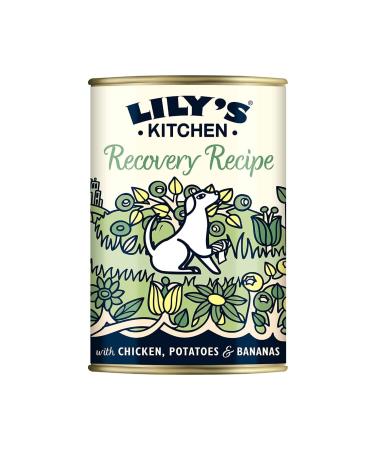 Lily's Kitchen Wet Dog Food (400g) - Digestive Support Nutritious with Chicken Banana and Potato