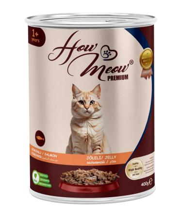 How Meow 12 Pieces Pate Adult Cat Wet Food with Salmon 400 gr