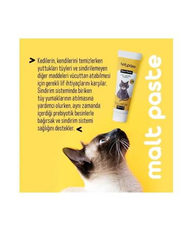 vitpaw Malt Paste 100 Gr. (MALT PASTE FOR CATS TO PREVENT VOMITING AND HAIRBALL FORMATION) Cat Malt - Buy Online on GoSupps.com