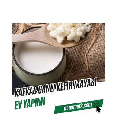 DoguMark Caucasian Live Kefir Yeast - Homemade (7g)