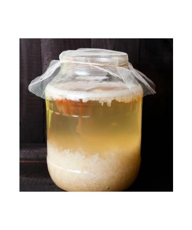 DoguMark Caucasian Live Kefir Yeast - Homemade (7g) - Buy Online on GoSupps.com