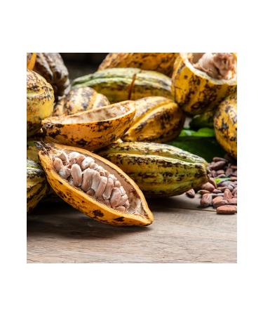 Radika Aromatherapy Tanning Cocoa Butter - Organic - Cold Pressed - Natural Sun Oil - Buy Online on GoSupps.com