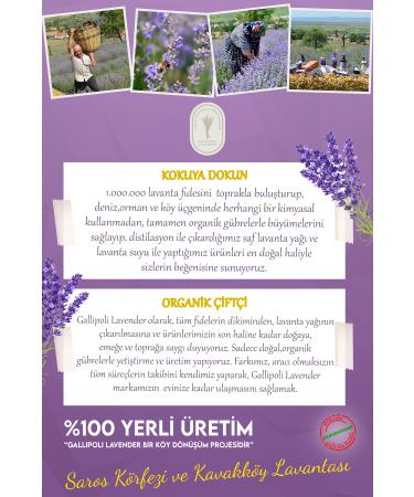 Dr. Lavender Grape Seed Oil from Our Garden Pure Natural Cold Pressed 50 ML - Buy Online on GoSupps.com