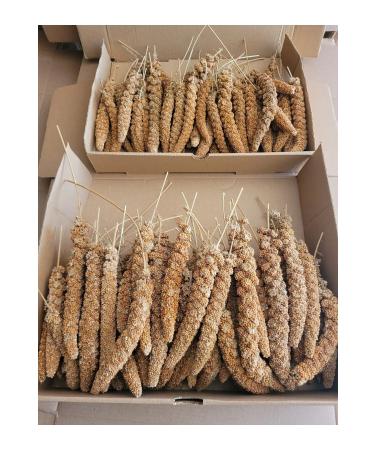 Biologist's Birdhouse Red Branch Millet (new Crop) 1st Quality 500 Gr - Buy Online on GoSupps.com