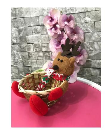 RADGX 1 kg Hazelnuts in Shell + Hazelnut Basket with Bear - Buy Online on GoSupps.com