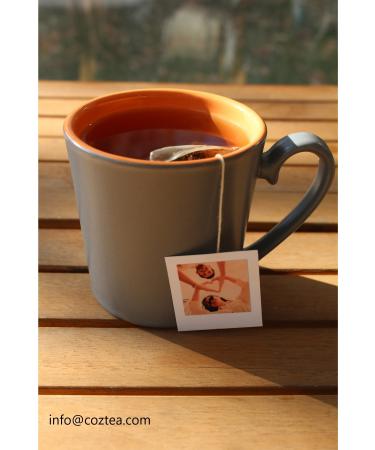 COZ TEA POLAROID PINK Rooibos Pyramid Tea Bag Herbal Tea - Buy Online on GoSupps.com