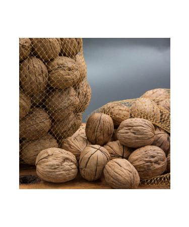 Amesia Shelled Walnuts 1000 g.