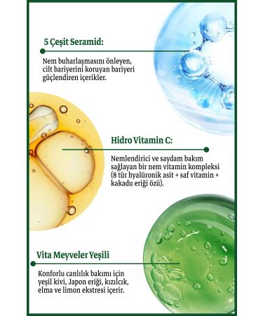 Ariul Green Vitamin C Face Cream 100 Ml | Moisturizing Tone Equalizing | 5 Ceramides 8 Hyaluronic Acid - Buy Online on GoSupps.com