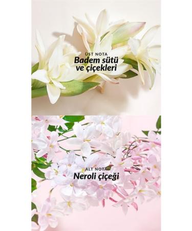 Avon TTA Everlasting Hand Cream - Buy Online on GoSupps.com