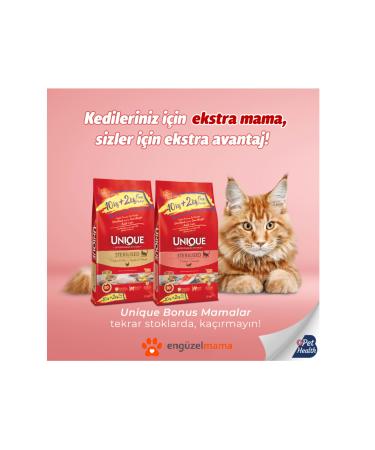 Unique Sterilized Cat Food Salmon 10 2 Kg - Buy Online on GoSupps.com