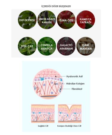 MBL Teresia Tone-up Whitening Cream with Collagen for Blemished Skin 50ml - Buy Online on GoSupps.com