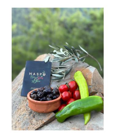 NASPO Gemlik Stone Printed Black Natural Olive 2KG