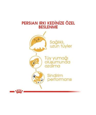 Royal Canin Adult Persian Iranian Cats Special 4 Kg Adult Dry Cat Food - Buy Online on GoSupps.com