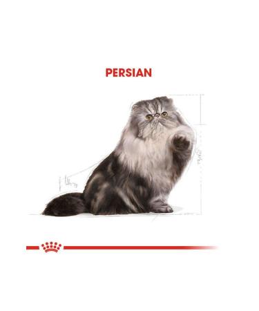 Royal Canin Adult Persian Iranian Cats Special 4 Kg Adult Dry Cat Food - Buy Online on GoSupps.com