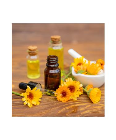 Radika Aromatherapy Arnica Oil / Organic Cold Pressed / Fixed Oil / Carrier Oil - Buy Online on GoSupps.com