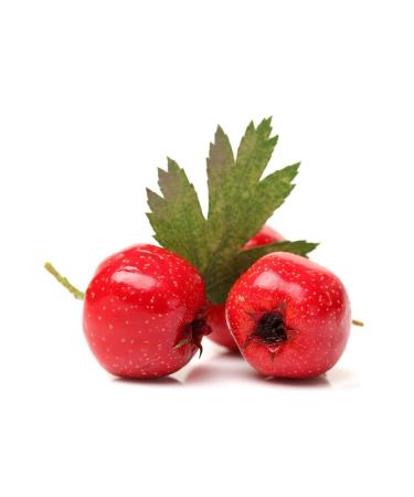 DAYE HATUN Red Hawthorn Vinegar / Hawthorn Vinegar (Naturally Fermented / 500 Ml) - Buy Online on GoSupps.com