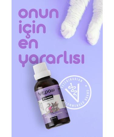 vitpaw B Complex Drops 50 Ml. (ANTI-SHEARING FOR CATS SKIN AND HAIR HEALTH BIOTIN DROP) - Buy Online on GoSupps.com