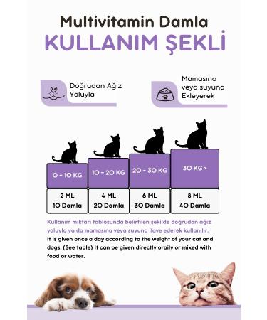 vitpaw B Complex Drops 50 Ml. (ANTI-SHEARING FOR CATS SKIN AND HAIR HEALTH BIOTIN DROP) - Buy Online on GoSupps.com