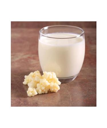 DoguMark Caucasian Live Kefir Yeast - Homemade (7g) - Buy Online on GoSupps.com
