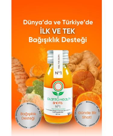 PlantoHealth Shots No1 Curcumin + Gingerol + Vitamin C + Coenzyme Q10 - ADVANTAGEOUS 7-PACK - Buy Online on GoSupps.com