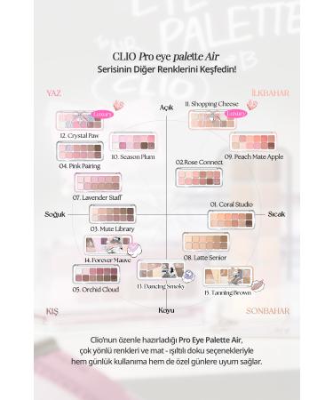 CLIO Light Textured Intense Color Eyeshadow Palette Clio Pro Eye Palette Air (02 Rose Connect) - Buy Online on GoSupps.com