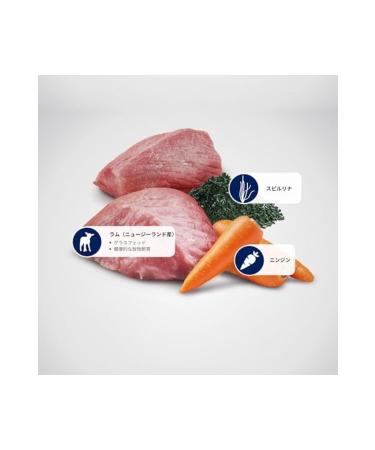 N & D ND BROWN Lamb Potato Carrot and Spirulina Small Breed Adult Dog Food 2kg - Buy Online on GoSupps.com