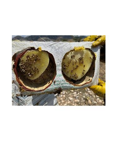 TANBAL Organic Basket Honey 2.2 kg real Karakovan - Buy Online on GoSupps.com