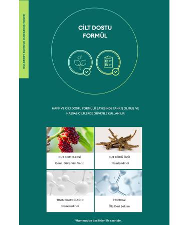 Missha Mulberry Extract Toner Helps Lighten the Appearance of Blemishes A'pieu Mulberry Blemish Clearing Toner - Buy Online on GoSupps.com