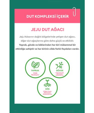 Missha Mulberry Extract Toner Helps Lighten the Appearance of Blemishes A'pieu Mulberry Blemish Clearing Toner - Buy Online on GoSupps.com