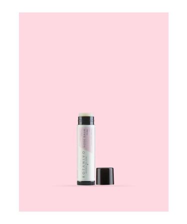 Botanivo Nose Care Repair Protection Balm for Dogs | Organic Content | 5 ml - Buy Online on GoSupps.com