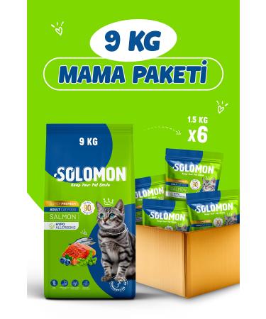 Solomon Adult Salmon Super Premium Cat Food 9 Kg - Hypoallergenic - Low Grain - Buy Online on GoSupps.com