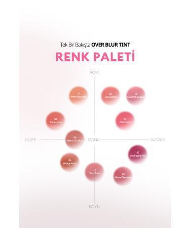 PERIPERA All Day Long Lasting Smooth Matte Tint PERIPERA Over Blur Tint (008 Cool Pink Coating) (Tteok) - Buy Online on GoSupps.com