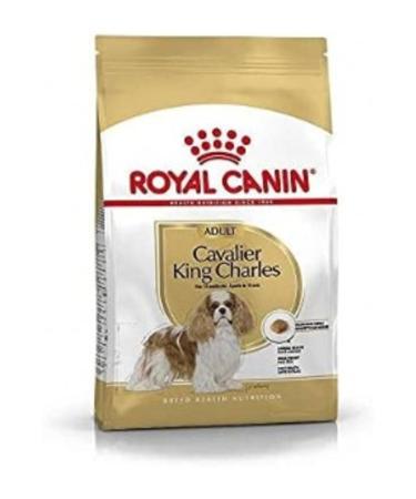 Royal Canin Cavalier King Charles Adult Dog Food 3 Kg