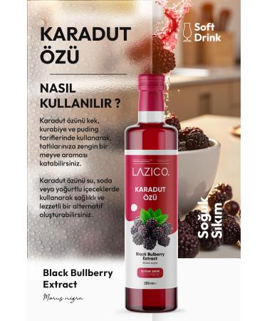 lazico Black Mulberry Extract 250 ml / 320 grams - Buy Online on GoSupps.com