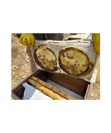 TANBAL Organic Basket Honey 2.2 kg real Karakovan - Buy Online on GoSupps.com