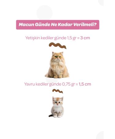 Vet's Plus Kitten Malt Paste 100gr (MULTIVITAMIN FOR MOTHER AND KITTENS) - Buy Online on GoSupps.com