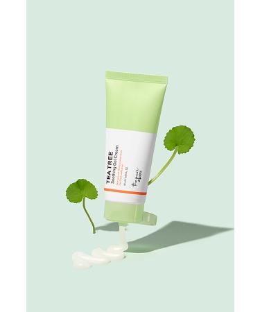 Missha Gel Cream for Oily and Acne Prone Skin A'PIEU The Pure Tea Tree Soothing Gel Cream