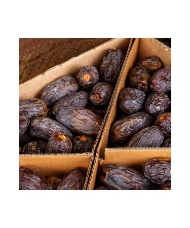 NEF SSO Honey Date Jumbo XXL LARGE 5 Kg - Buy Online on GoSupps.com