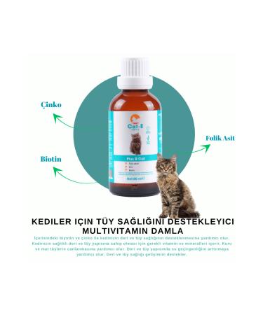 AMICA CAT-E CALMING LIQUID DROPS & B PLUS DROPS SET OF 2 - Buy Online on GoSupps.com