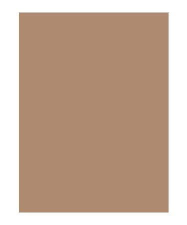 beaulis Fun Sunset Lover Powder Bronzer 102 Desert Sun BLUSH BEAULISIN NEW PRODUCT - Buy Online on GoSupps.com