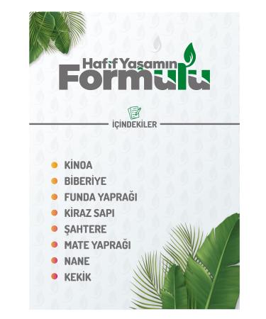 zemlifetea Slimming1 Helper Quinoa Herbal Mix Tea - Buy Online on GoSupps.com