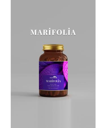 Hekimzade Marifolia 6 / 30 Capsules 800mg - Elderflower Containing Supplementary Food