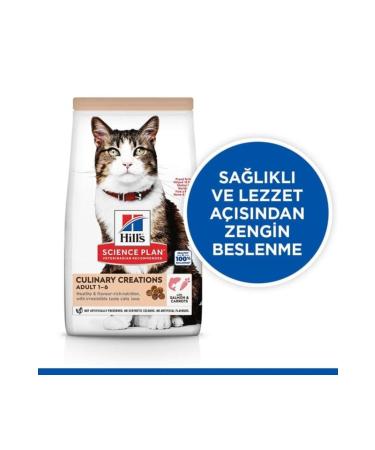 Teknotrust Hills Salmon and Carrot Adult Cat Food 1 Kg STERILE PACKAGE WITH FOOD GUARANTEED