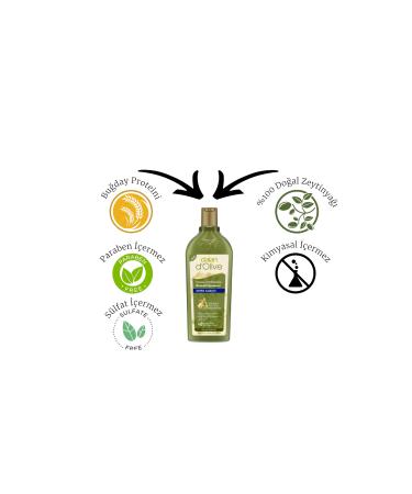 Dalan D'olive Natural Olive Oil Anti-Dandruff Shampoo 400 ml - Buy Online on GoSupps.com