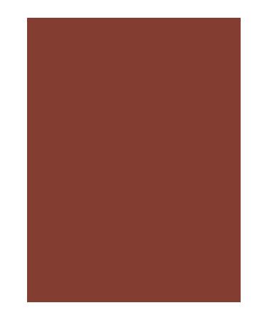 beaulis Cinnamon Crush Maple Bliss Lip Mousse Lipstick mousse matte lipstick velvety - Buy Online on GoSupps.com