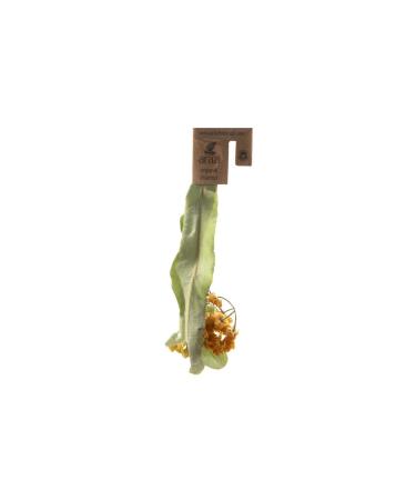 Land Organic Herbal Tea Organic Linden 12 Pieces Capsule Herbal Tea 15 Gr - Buy Online on GoSupps.com
