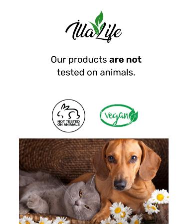 Illa Life Fast Effective Anti-Darkening Skin Whitening Underarm Private Area Bikini Area Whitening Cream - Buy Online on GoSupps.com