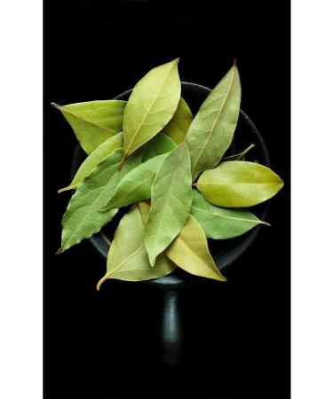 Lika Bay Leaf 500 gr