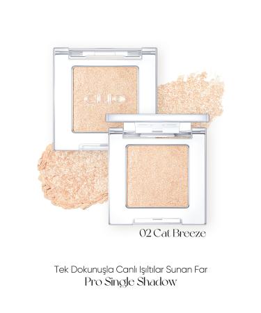 CLIO Pearl Shimmer Creamy Texture Single Shadow Clio Pro Single Shadow (23FW) (G02 Cat Breeze)