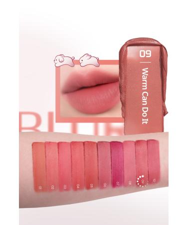 PERIPERA All Day Long Lasting Smooth Matte Tint PERIPERA Over Blur Tint (009 Warm Can Do It) (Tteok) - Buy Online on GoSupps.com
